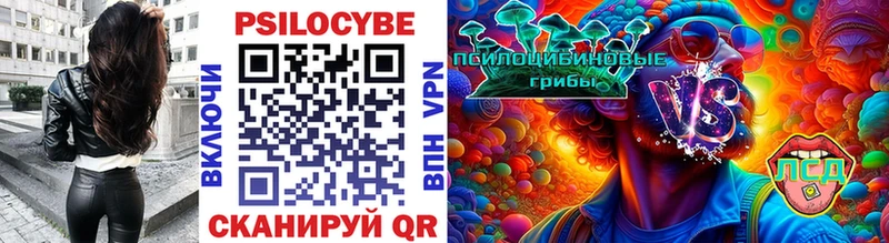 Псилоцибиновые грибы MAGIC MUSHROOMS blacksprut сайт Новосиль цена наркотик